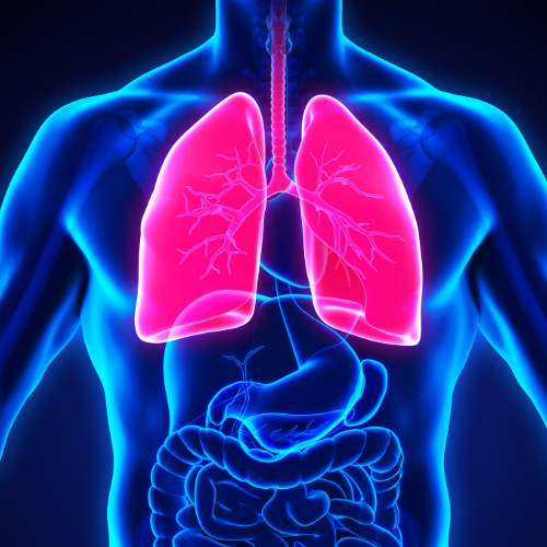 Your paragraph text 35